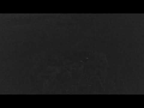 camera iphone 8 plus apk Cape Cod Museum of Natural History Live Stream