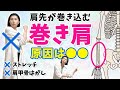 【座ったまま】ストレッチでも治らない「巻き肩」を解消!腕のねじれをとる骨格ワーク