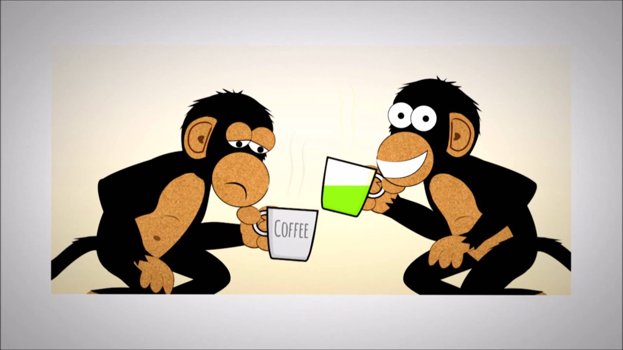 Can our matcha green tea improve your life?