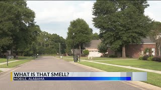Celebrity Mobile residents report foul odor; source unknown Wealth