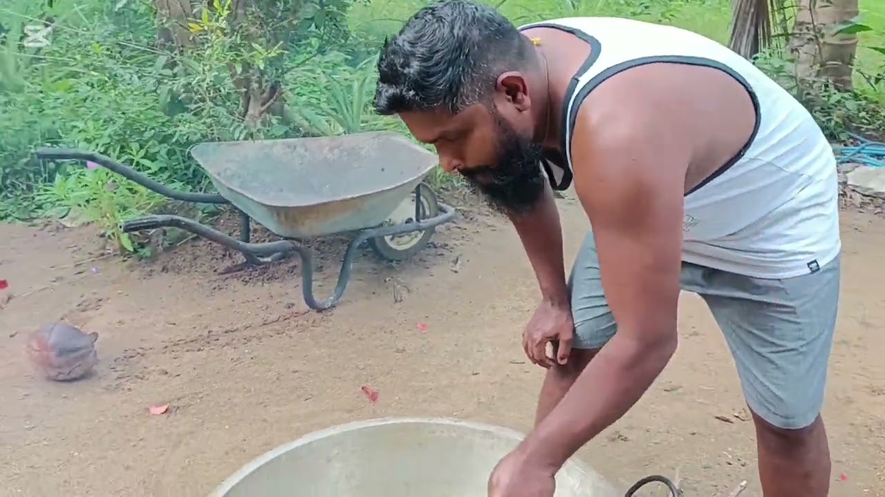 4 January 2026 We Fed Hungry Street Dogs/A Small Act Of Kindness /Small Kindness Big Love