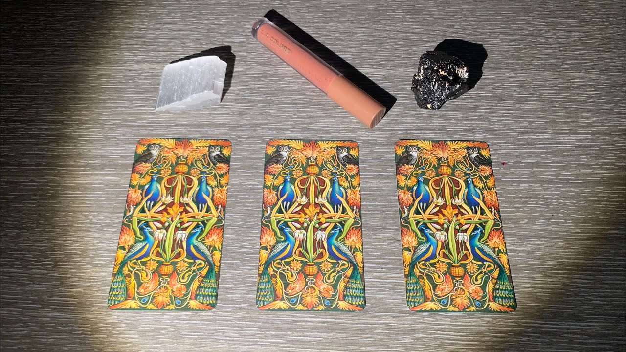 What's Down Your Path?🌞Timeless Tarot Reading