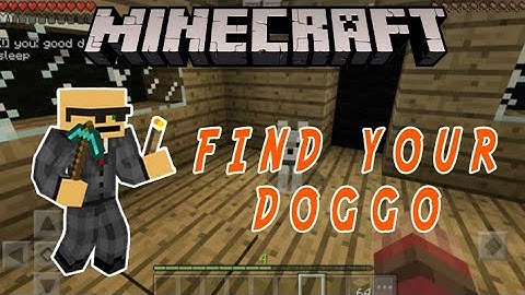 Minecraft: Find Your Doggo (Adventure Map)