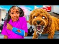 Our Daughter Was Attacked by a Dog ๐ถ