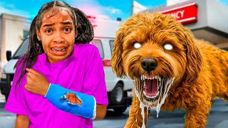 Our Adopted Daughter Got Attacked By A Dog