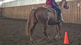 Laureen James On Lil Super Puncher Wild Rose October Wd Intro Test 3