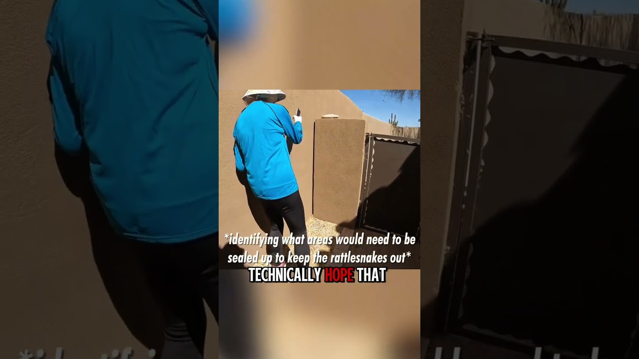 Drama Free Rattlesnake Removal and Release