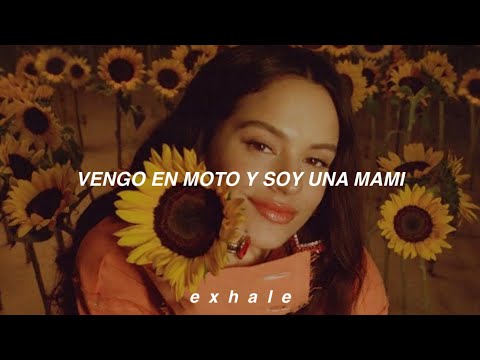 Rosalia - LLYLM (Traducida al español)