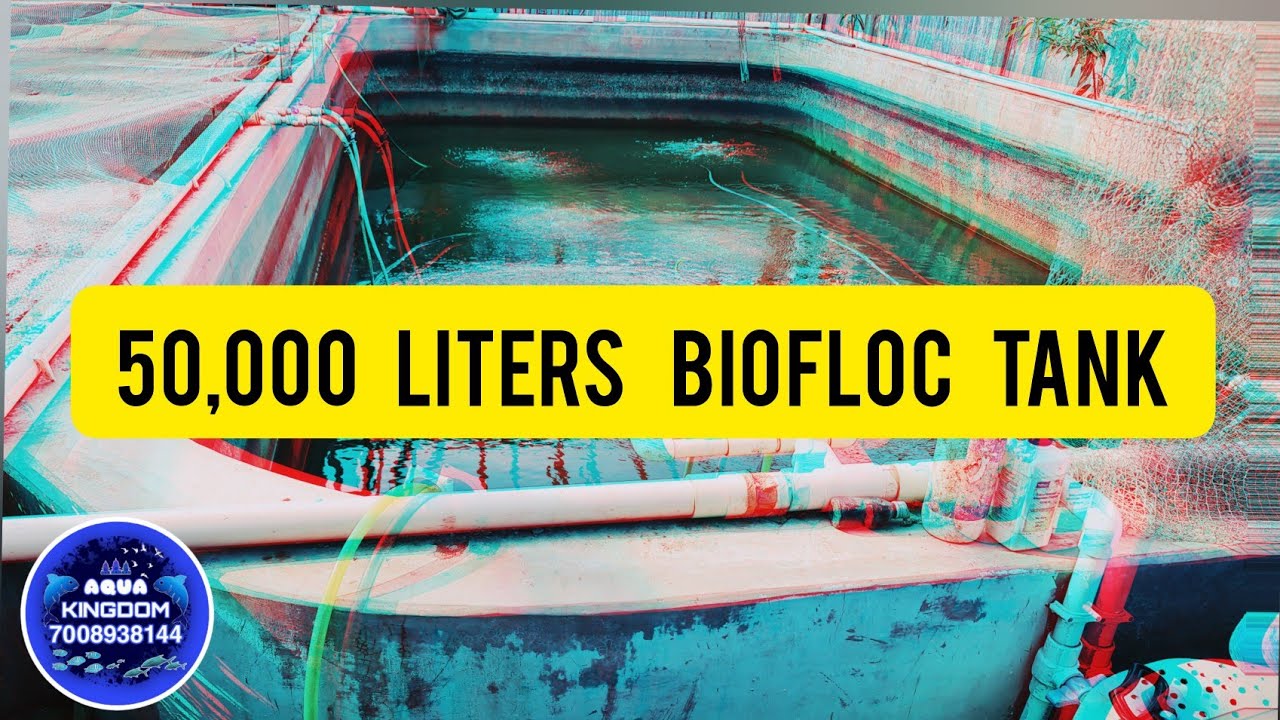 OUR 50,000 LITERS TANK FOR FISH FARMING BIOFLOC