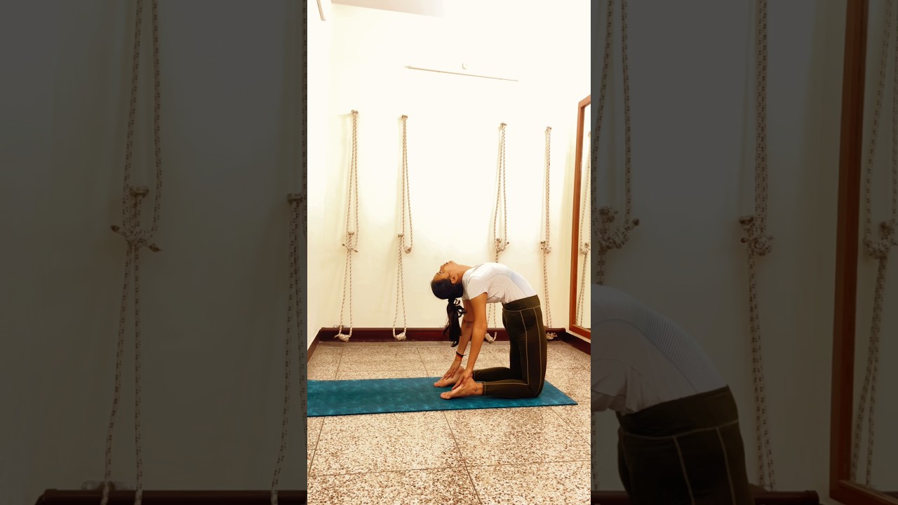 Camel Pose Or Ushtrasana 