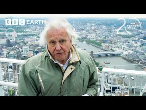 Singapore Engineers A Future For Nature | 20 Years of Planet Earth II | BBC Earth