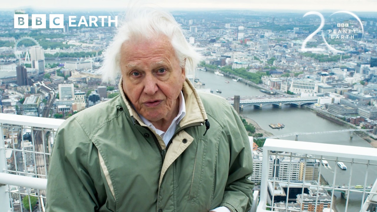 Singapore Engineers A Future For Nature | 20 Years of Planet Earth II