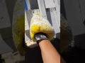 How to Paint Spindles on a deck QUICKLY How to Paint Spindles on a deck QUICKLY