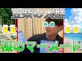 『裸のマーメード』開封してみた!【豆柴の大群】