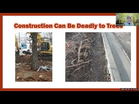 Trees and Construction