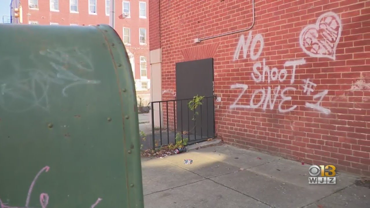 "No shoot zone" activist shot, killed by police after reported assault