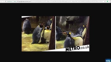 How to convert a WebP image to a JPG image without using any software?