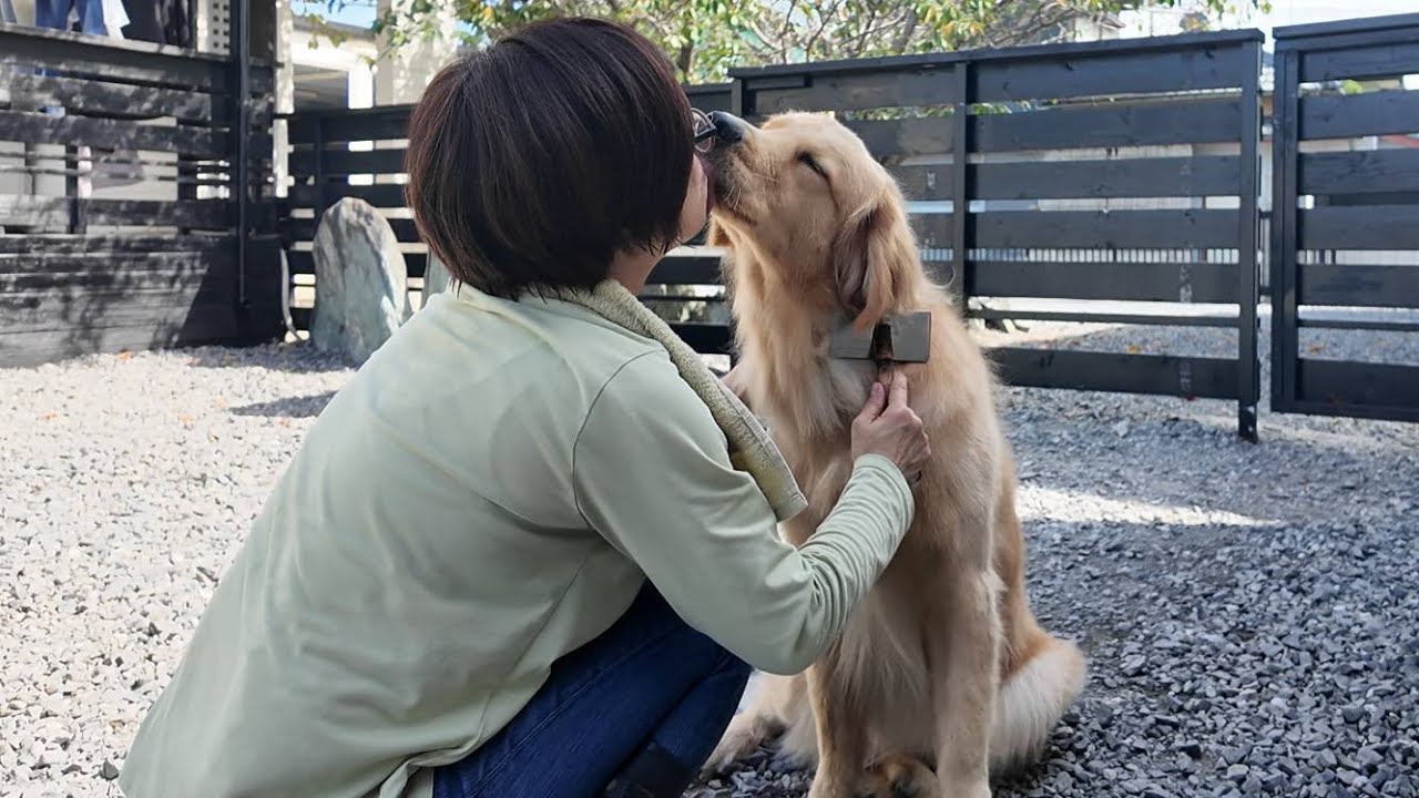 People think large dogs are a lot of work, but they're actually