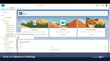 Activating the Salesforce Mobile App