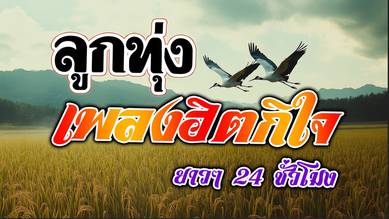ลูกทุ่งเพลงฮิตกินใจ ยาวๆ 24 ชั่วโมง (คัดมาพิเศษ) - ฟังต่อเนื่อง คุณภาพเสียง HD