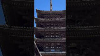 Day in Kyoto Japan