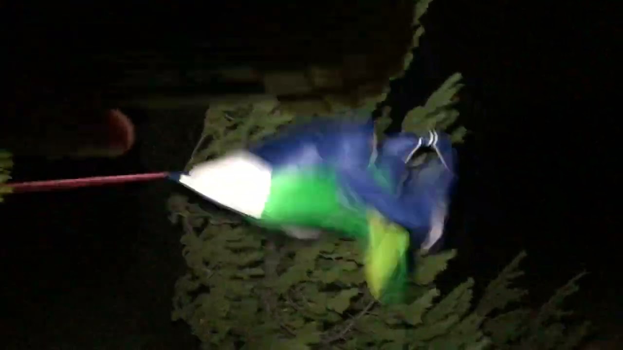 Addidas nylon jacket flapping in strong wind