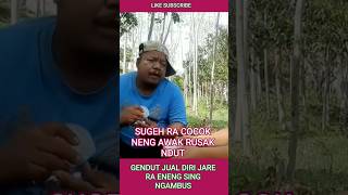 Sugeh Nek Ra Cocok Neng Awak Rusak Ndut lucu