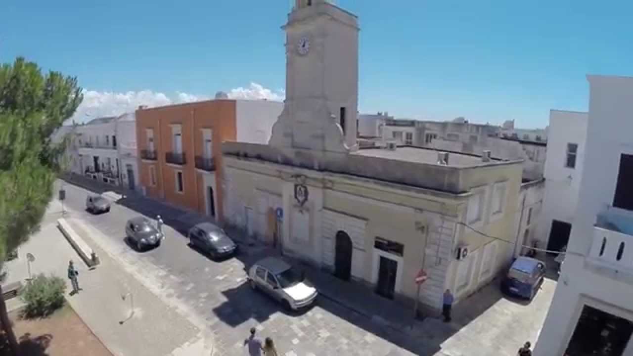 VIDEO CARTOLINA DA ALLISTE FELLINE 2014