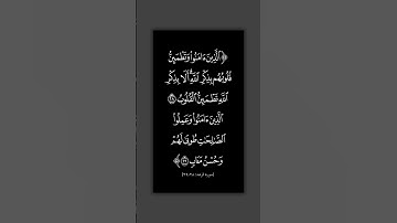سورة الرعد | ٢٨ - ٢٩ | فارس عباد