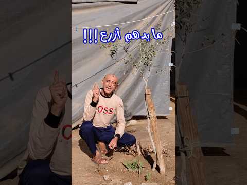ما بدهم أزرع بالمخيم Gaza غزة Grow زراعة