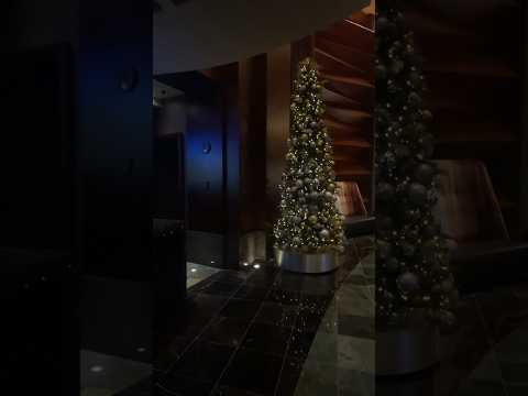 OMG! Christmas tree decorations - Red Rock Casino Resort and Spa - Las Vegas, Nevada