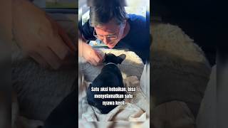 Download Lagu Teriakan dari Tempat Sampah yang Mengubah Hidup Seekor Anak Anjing MP3