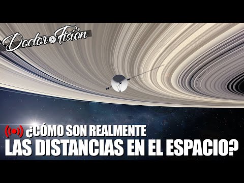 ¿Cómo son LAS