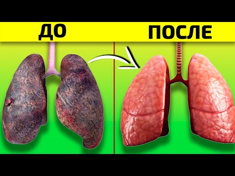 Вот Что Происходит с Организмом, Когда Вы БРОСАЕТЕ КУРИТЬ (Впечатляет)