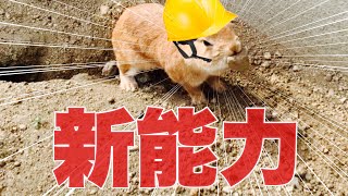 チート級？親方の固有スキル『重機』がレベルアップしました　#988