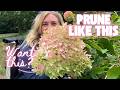 Prune hydrangeas YOUR way!