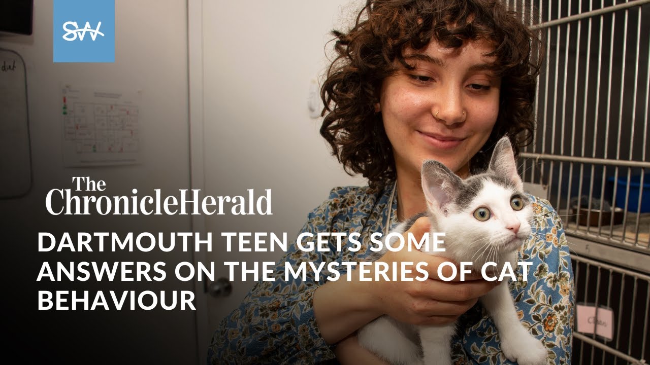 Dartmouth teen gets some answers on the mysteries of cat behaviour | SaltWire