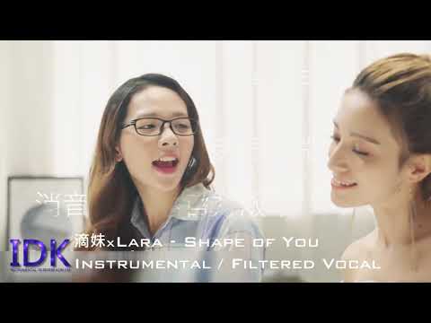 [ Instrumental 伴奏 ] 滴妹 X Lara - Shape of You (Filtered Vocal)