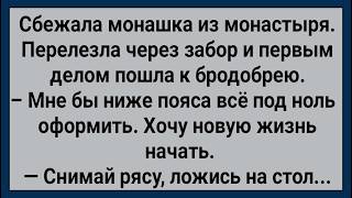 Как Монашка из Монастыря Сбежала! Сборник Свежих Анекдотов! Юмор!