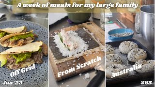 What my large family ate in a week, mostly from scratch, monthly groceries | Off Grid Australia 264