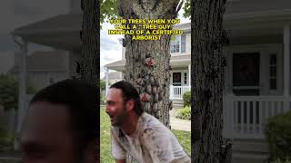 🌳 Call a Certified Arborist for Expert Tree Care