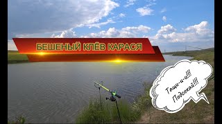 БЕШЕНЫЙ КЛЁВ КАРАСЯ