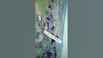 من عافنا عفناه لو كان غالي 