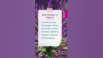 Grade 3 Math Quiz 95: Solve the Primary 3 Word Problem