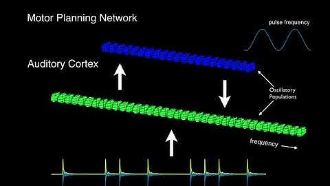 CNS 2020 Virtual Poster Presentation F104