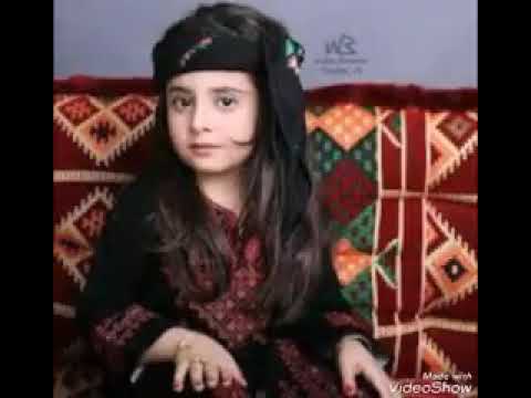 ايمن الزيني