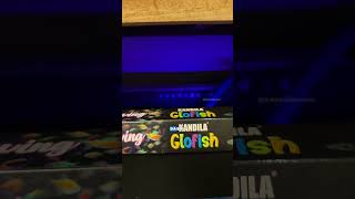 Ternyata ikan glofish gini bisa nyala loh #ikanglofish