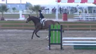 Hunter Siebel and Wallenteen Content