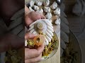 How to Make New Design Momos at Home 🥟✨ #momos #momosrecipe #fooddesign #foodchannel #homemade