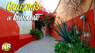 Callejones de De Guanajuato Conociendo Guanajuato a Pie Como Llegar al Pipila Noecillo